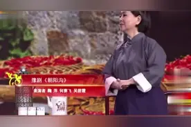 央视主持人鞠萍，何赛飞，吴碧霞演唱《朝阳沟》片段视频封面
