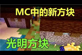 我的世界：游戏里的新方块，用起来方便，很适合建造房屋时使用
