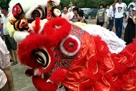 广西玉林市罗冲村（羅氏）祭祖视频封面
