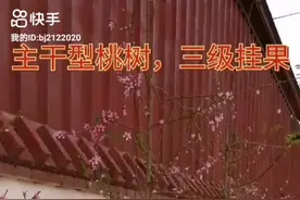 数据化综合管理，果树管理中，两个三个0.3的应用图片