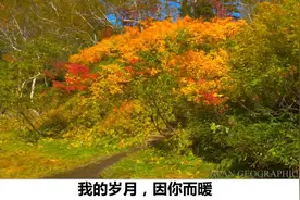 朗读散文-你不在的日子，我把所有的温柔，都交给了文字