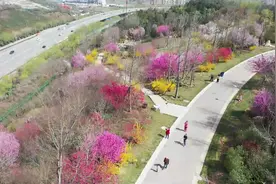 桃李杏樱梅傻傻分不清 西安植物园专家教你识花