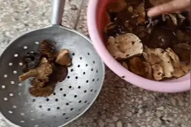 小强教大家做野生干蘑菇，做法简单，叫人直流口水。