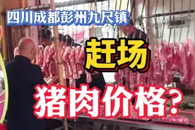 猪肉降价了？看看四川成都猪肉多少一斤，这个价格还会降吗？视频封面