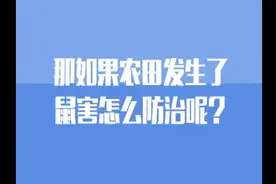 京科惠农：农田鼠害如何科学防治？视频封面