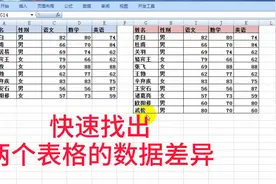 快速核对两个表格的数据差异，几秒完成，感觉以前的excel白学了视频封面