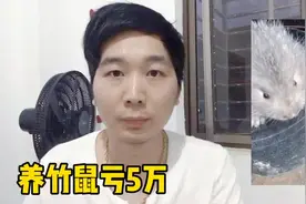 湖南小伙养竹鼠亏5万 有养殖证均补贴75一公斤贫困户出路在哪？视频封面