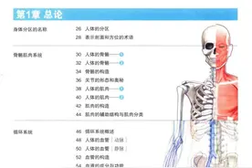人体地图 3D解剖图视频封面