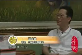 片仔癀在海外，消炎止痛、保肝护肝视频封面