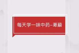 中药材介绍-萆薢