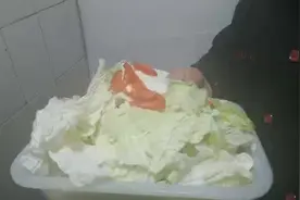 一道只用白菜叶做的美味，干煸白菜的制作方法视频封面