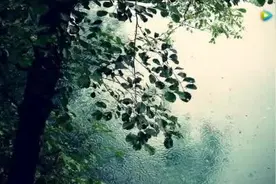 冷漠《我恨自己动了真情》图片