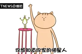 喵咪身体的秘密，猫奴要知道的冷知识视频封面