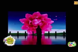 幼儿园教师舞蹈《红昭愿》，柔美古风舞