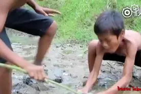 硬核吃螃蟹 从水坑里捞起来这么大的螃蟹