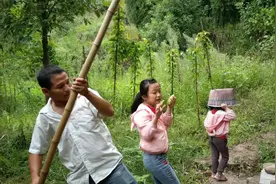 四川达州：农村野生8月瓜是啥味道？6岁安琪形容太搞笑！你吃过吗视频封面