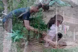 大山里越南农村姑娘的真实生活，勤劳贤惠惹人爱视频封面