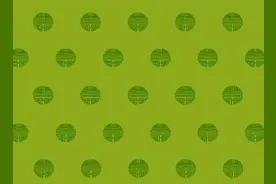 成语故事——不胫而走视频封面