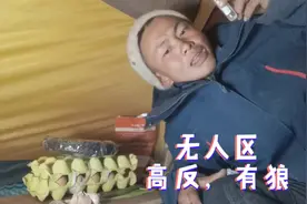 徒步西藏可可西里无人区，半夜狼在帐篷外转，吓得我整晚没睡觉！视频封面