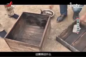 山珍之首果子狸4：土蜂蜜是较稀的，活性酶营养价值高，温水泡服视频封面