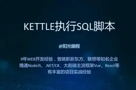 如何用KETTLE执行SQL脚本,数据阻塞又是怎么回事，看完就全明白了视频封面