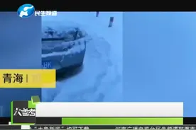 青海祁连突降大雪 上千辆车被困近11小时 交警风雪中连夜疏导交通视频封面