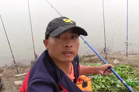 海竿串钩钓组这样搭配，下杆就擒获锅盖大的鳊鱼视频封面