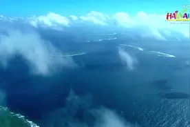 知道海南为什么来这么多俄罗斯人吗，因为出了俄语版的宣传片视频封面