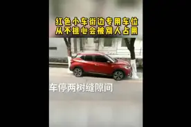 轿车停在两树之间，怎么开出来，看小伙一波操作。视频封面