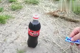 小伙往可乐里加入一种气体，可乐居然起飞了