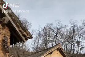 那年在济南南北历山街喝扎啤图片
