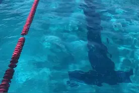 #游泳# #铁人三项# 美国职业铁三游泳运动员训练营游泳现场视频封面