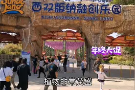 西双版纳年终大促，旅游可以来玩玩，超实惠！视频封面