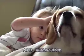 狗狗们不光会叫人起床，还会跟着睡懒觉，真是太萌了