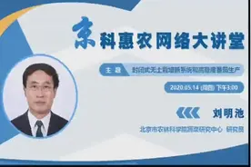 封闭式无土栽培新系统和高糖度番茄生产