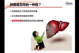 铅甲柔情※许医生 肝癌的预防及治疗常识（2）视频封面