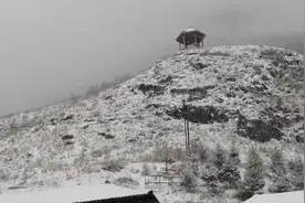 北京门头沟灵山今晨飘雪视频封面