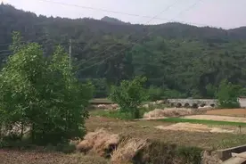 四川江油熊出没袭击现场！村民:被击毙后，晚上山上传来熊嚎叫声视频封面