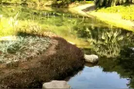 北海公园钓鱼了，早上太阳真舒服视频封面