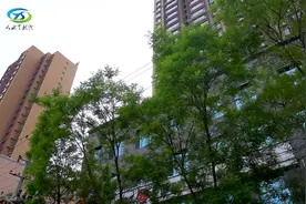 工商银行 "金闪银"产品发布会暨清水支行迁址开业仪式圆满成功视频封面
