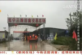 南宁三津市场今日重新开业，活鸡均价6至7元视频封面