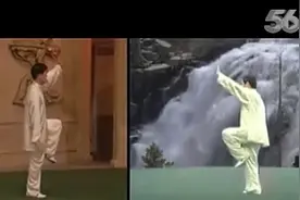 陈式太极拳老架一路 正面背面合一陈正雷讲解演示 (54—74式)