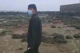 父女去赶海抓到半桶鸡冠螺视频封面