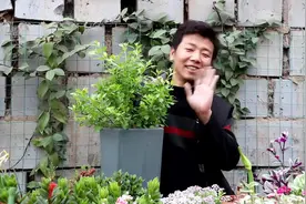 蕾丝金露巧克力花香，春季这样养，轻松就开爆！视频封面