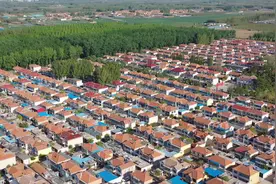 山东最富裕农村之一，诸城得利斯村，家家住别墅视频封面