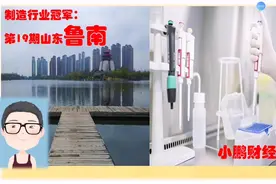 山东鲁南，临沂济宁菏泽枣庄日照5市的中国制造冠军企业有多牛？视频封面