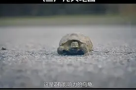 #重庆幸福家 #愚人节整蛊大赛 #消防英雄纪念日 #视频剪辑图片