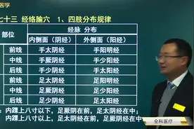 经络穴位，中医针灸推拿的必备知识，快速带你了解记忆视频封面