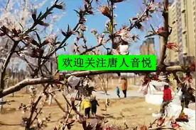这位年轻的妈妈真会教育孩子，边唱边鼓励六岁孩子做家务视频封面