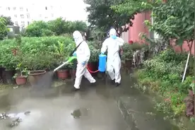 郑州消防驰援安徽救灾  老红军回敬军礼致谢视频封面